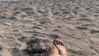 Palourde rasée avec vue sur la plage