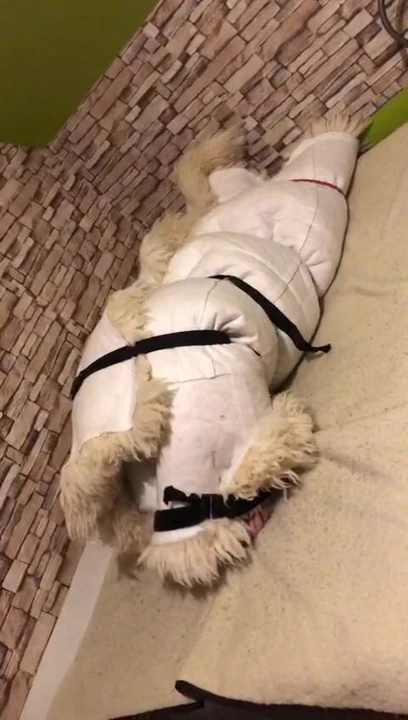 fur orgasm 4