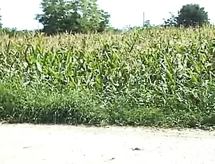 Passaggi dagli sconosciuti