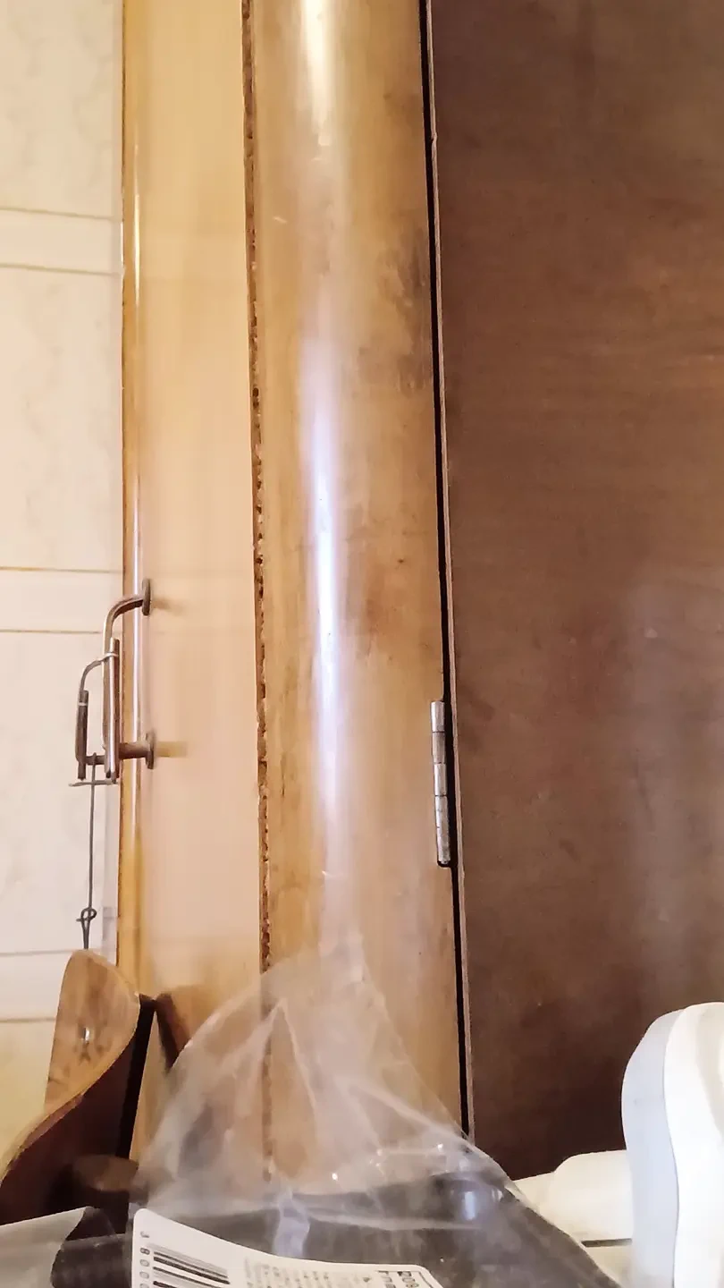 Petite tits under the black shirt