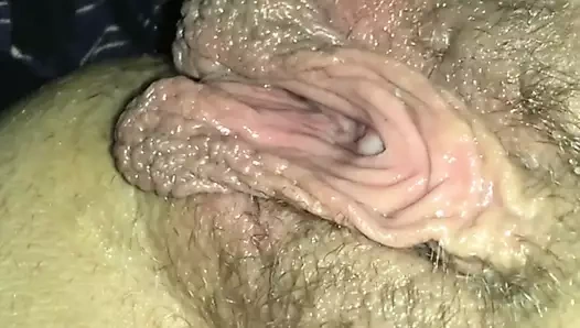 Muschi
