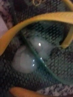 Gozando na Havaiana
