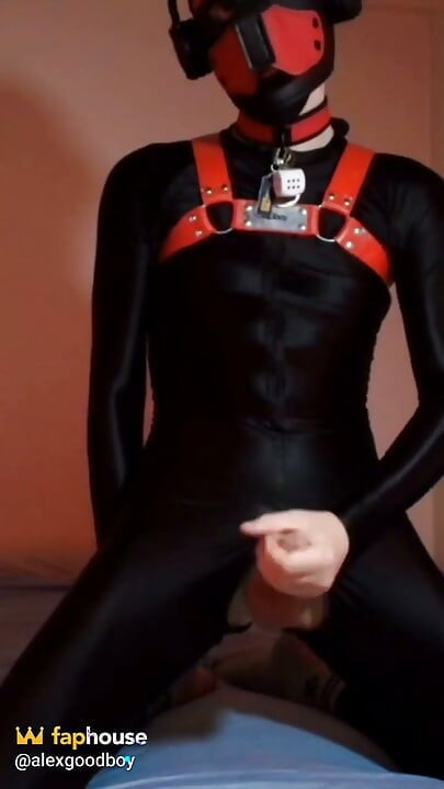 Needy Puppy Jerks His Cock on His Knees