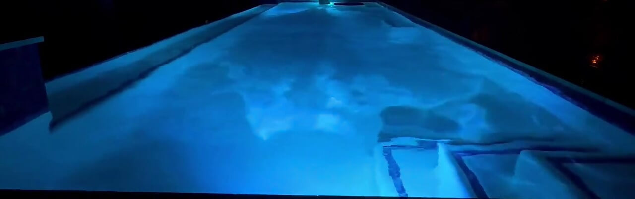 Anyone Else Play Fetch Naked in the Pool?