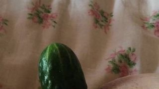 Rijpe vrouw neukt haar poesje met komkommer
