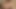 抑えきれない衝動を呼び覚ます女性
