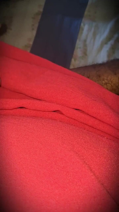 Az evangélikus barátom felhívott, hogy tanulmányozzam a Bibliát, és ez meg is történt | Klip 1