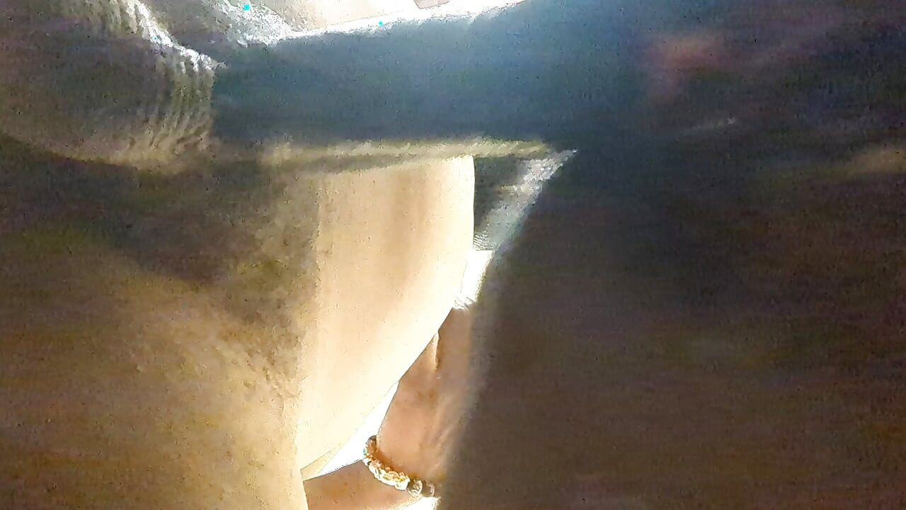 Nauti näkymistä Pidätkö koiratyylistä?!