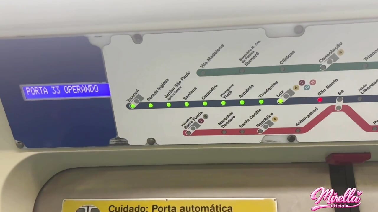 She Can't Stand to See the Volume Marking and Sucked Me Inside the São Paulo Subway