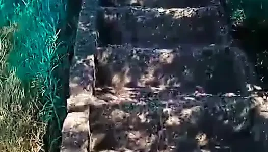 WillyAlexandruPetre videosu