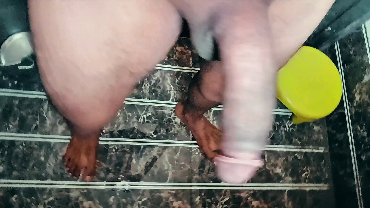 Mera Drăguța Lauda