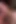 3D Hot Asian Slut Have a Hardcore Blowjob Sex and Squirting a Lot