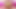 淫乱ステップママが種牛のように息子のペニスに跨る