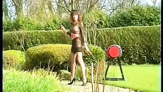 The Whipping
