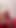 Jaw-dropping moment from "Lesbian brunettes are having a stripping game with clit licking and sixty nine as climax"
