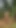 Stunning moment from "Self caning in the forest"