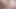 Femboy cums. View from two sides. Close up