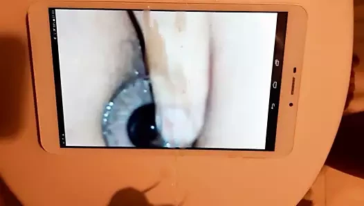 haraç benim hanımları takılı olarak ve KEDİ