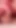 Unforgettable moment from "Bisexual Couple Deepthroating a Dick Together - MMF Bisexual Double Blowjob - Cliff Media"