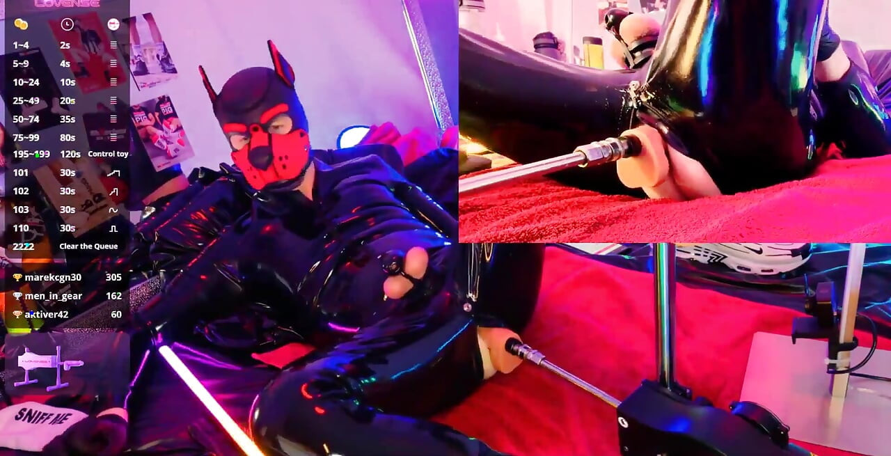 Nicolaus Rubber Show with Pet Mask
