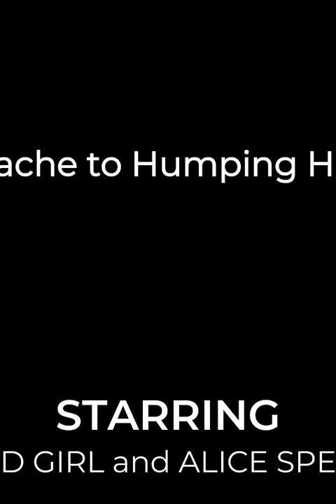 Heartache to Humping Heaven