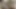 Genç güzel öğrenci aşağıdan sikiliyor