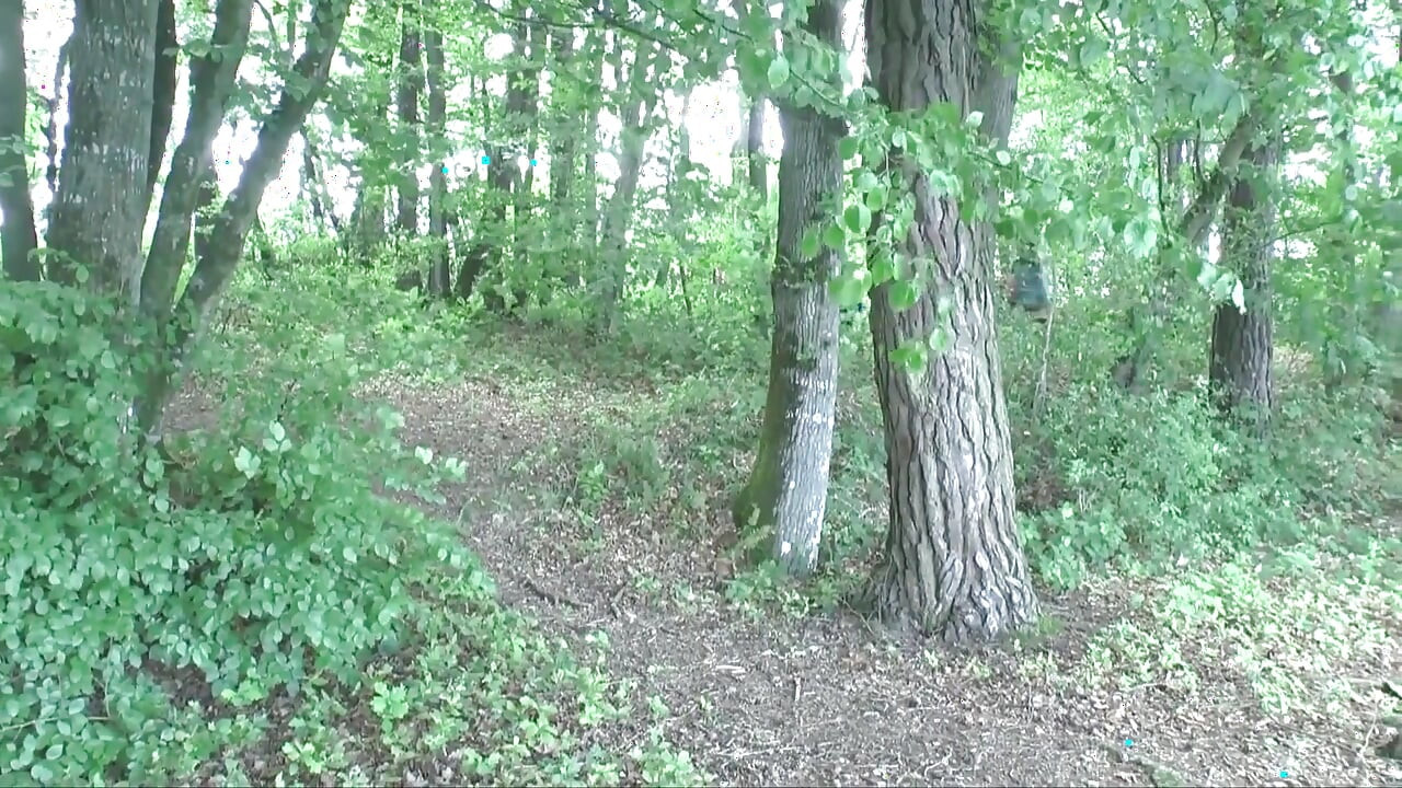 树林里的热辣双插动作