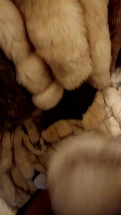 furs and jerking off