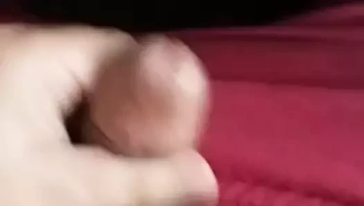 evizaa