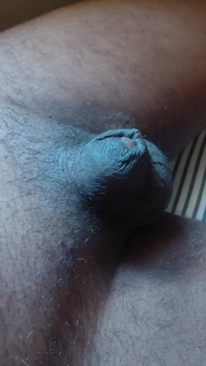 Micro pinnis getting hard