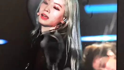 İki kez dahyun döl haraç