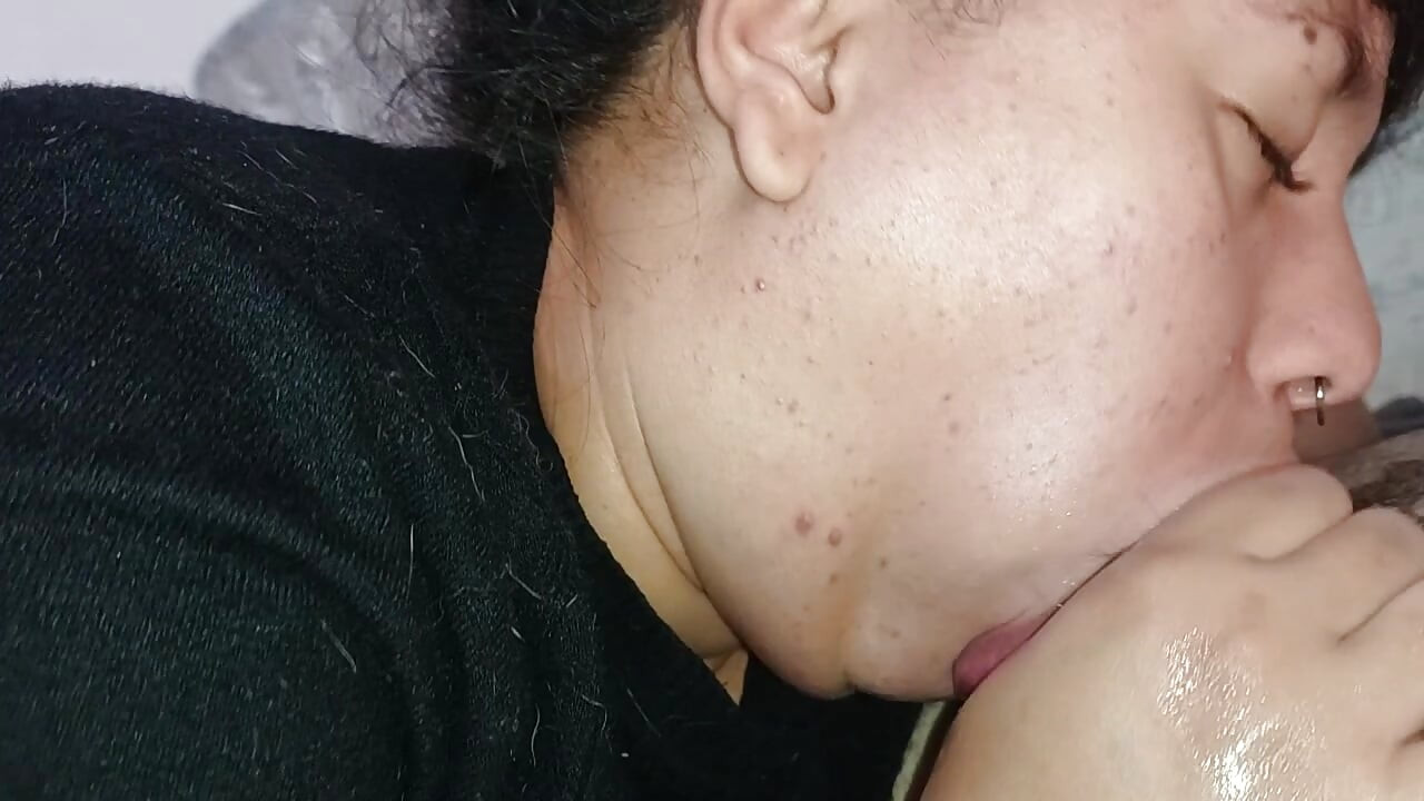 긴 혀가 뿔의 줄기, 뿔의 고환까지 핥는다