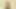 Cumshot Compilation #13 - 15 Loads
