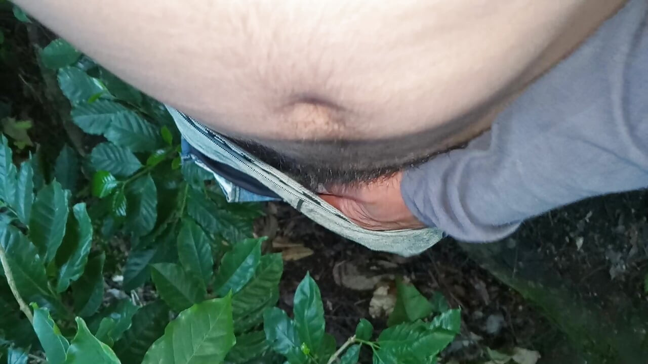 I always had the fantasy of giving a cripple a high cock