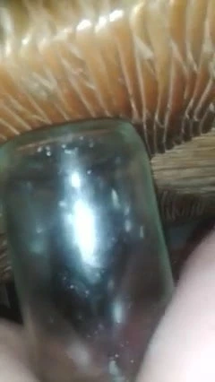 glass bottle