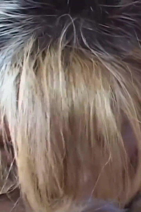 Hot blonde sucks a monster cock to a massive mouth cumshot