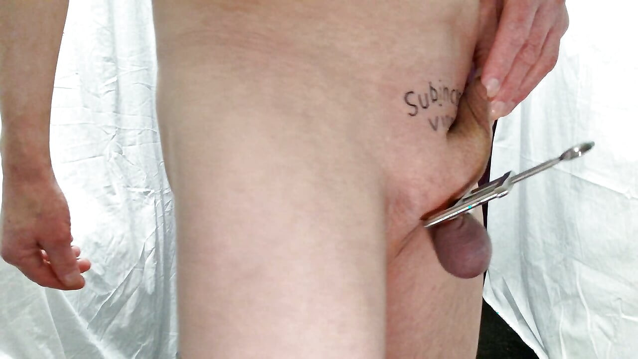 受虐狂需要cbt，弹性，弹力平，用绳子夹球囊，t. T. bat在球上