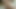 My girlfriend swallows cum