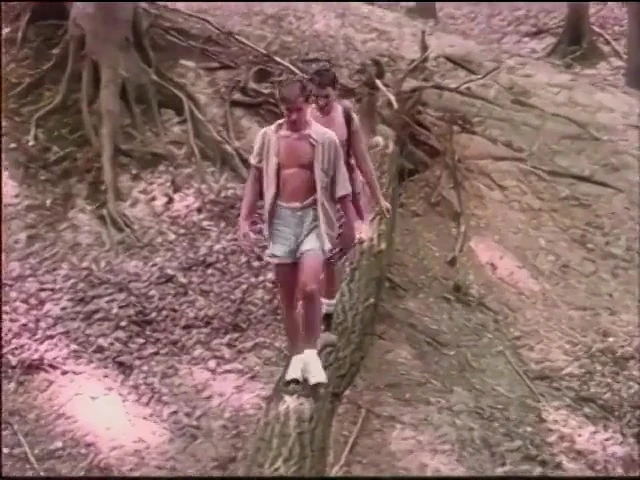 The Plowboys 4,nakedsword