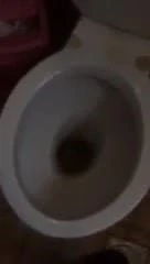 Cumshot in toliet