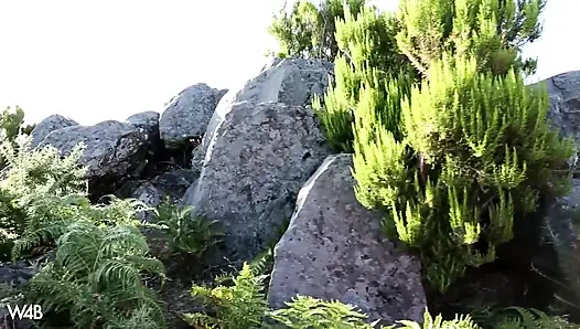 Sapphira's Peeing Saga Ii