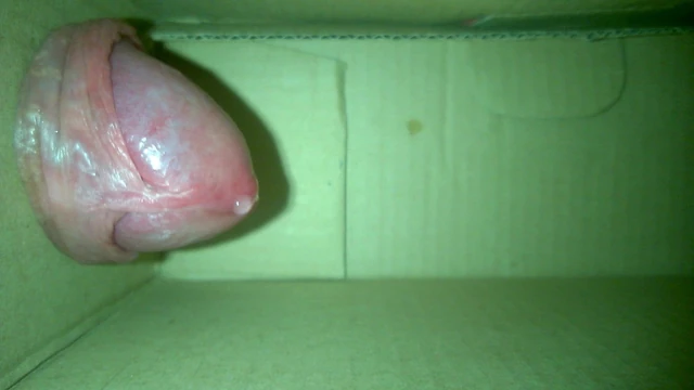 dick in the box part 2