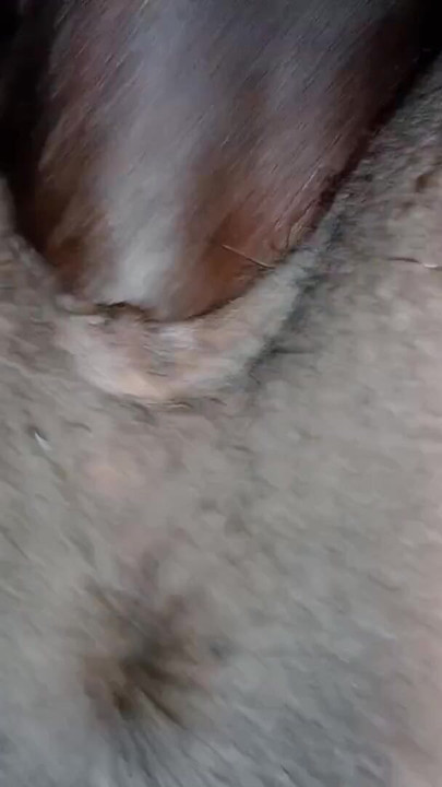 Tonight, my husband is going to try to have anal sex with me using his huge penis. Let's see how it feels for you. | Clip 1