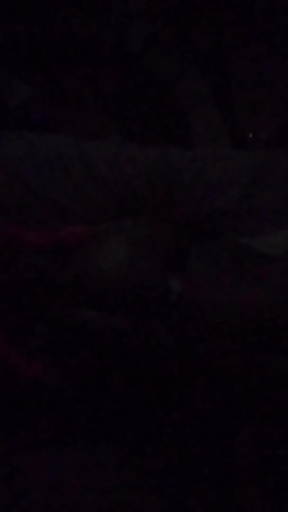 Pustolovine crnih uzgajivača 179