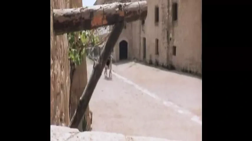 SATANAS – WITCHES HUNTER 1975