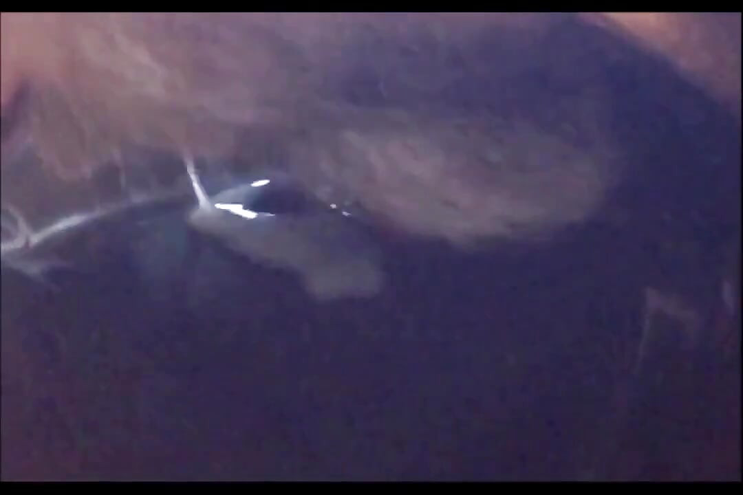 I Ejaculate on a Plate and Slurp up My.