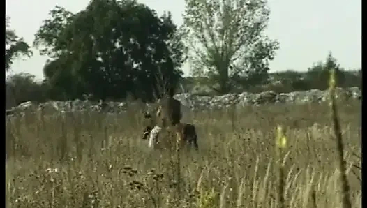 Behind German Doors Is Fucked Diligently - Full Movie