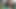 おしっこ vlog おしっこ 1 日
