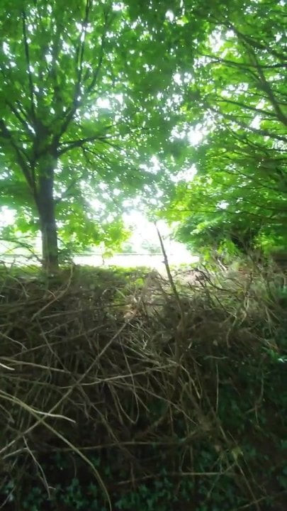 Masturbating in the woods