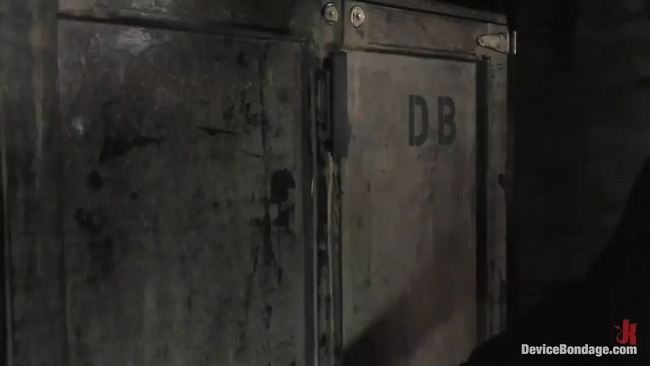 Boxed Bitch